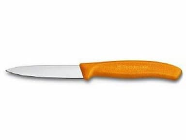 Groente/schilmesje oranje