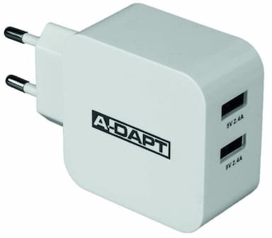 Thuislader 4,8A Smart IC