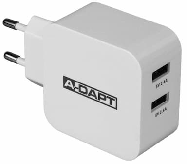 Thuislader 4.8A Smart IC