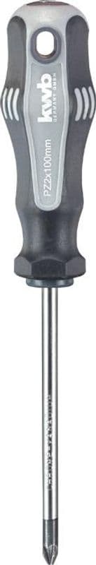 Schroevendraaier Pozidriv PZ2 x 100