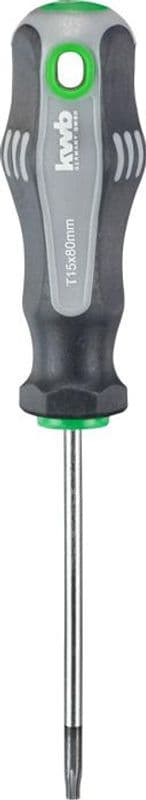 Schroevendraaier Torx T15 x 80