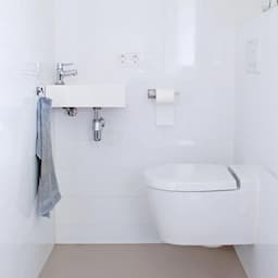 HG Toiletruimte reiniger