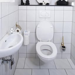 HG Toiletruimte reiniger