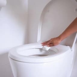 HG hygiënische toiletbrilreiniger